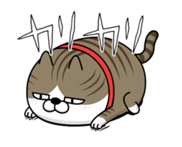 113468868