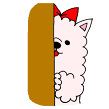 1135117