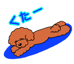 1135219