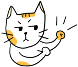 11352502