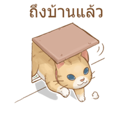 11353143
