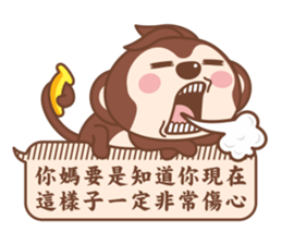 11364096