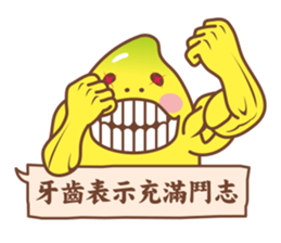 11364117