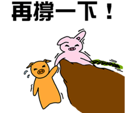 11365421