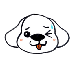 11368066