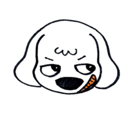 11368067