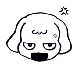 11368072