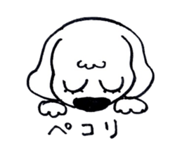 11368073