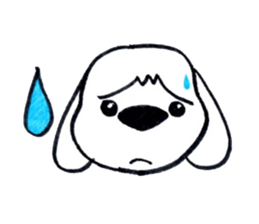 11368074