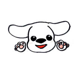 11368080