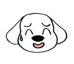 11368089