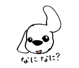 11368091