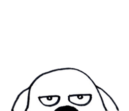 11368097
