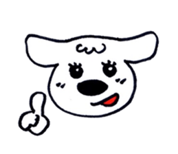 11368100
