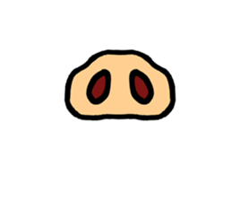 1137054