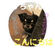 113745442