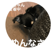 113745451