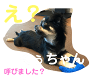 113745462