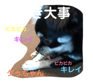 113745472
