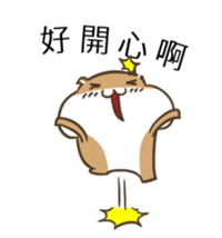 11376231