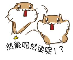 11376246