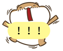 11376249