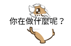 11376254