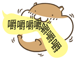 11376257