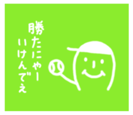 11381886
