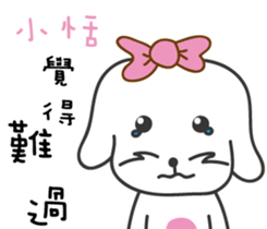 113855711