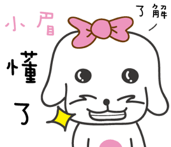 113856317