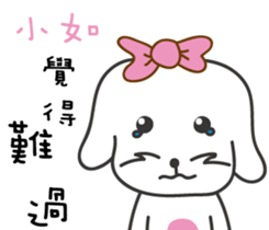 113856623