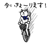 1138579