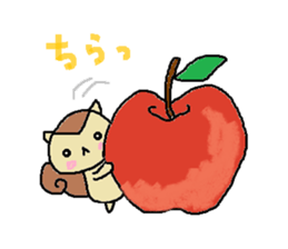 11388081