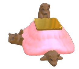 113904905