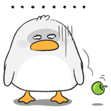 11392432