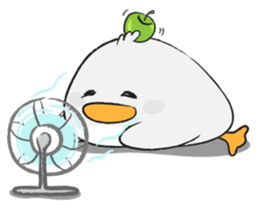 11392463