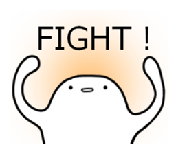 11393205