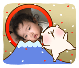 113938663