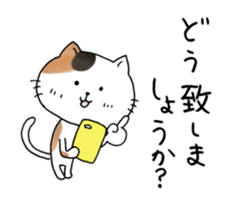 11397349