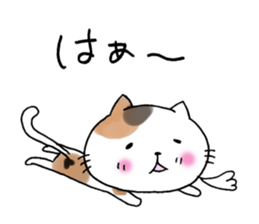 11397355