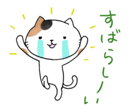 11397370