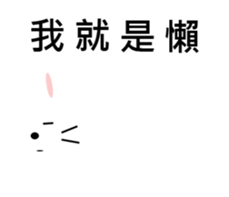 11401231