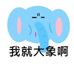 11401237