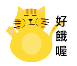 11401244