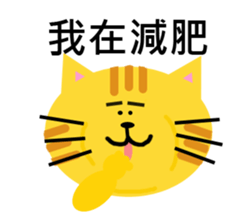 11401246