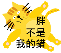 11401247