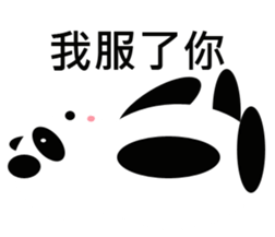 11401258
