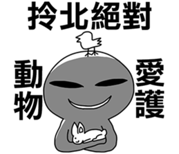 11401907