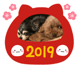 114028731